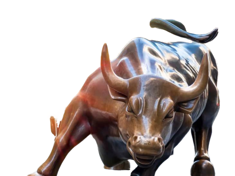 Charging Bull